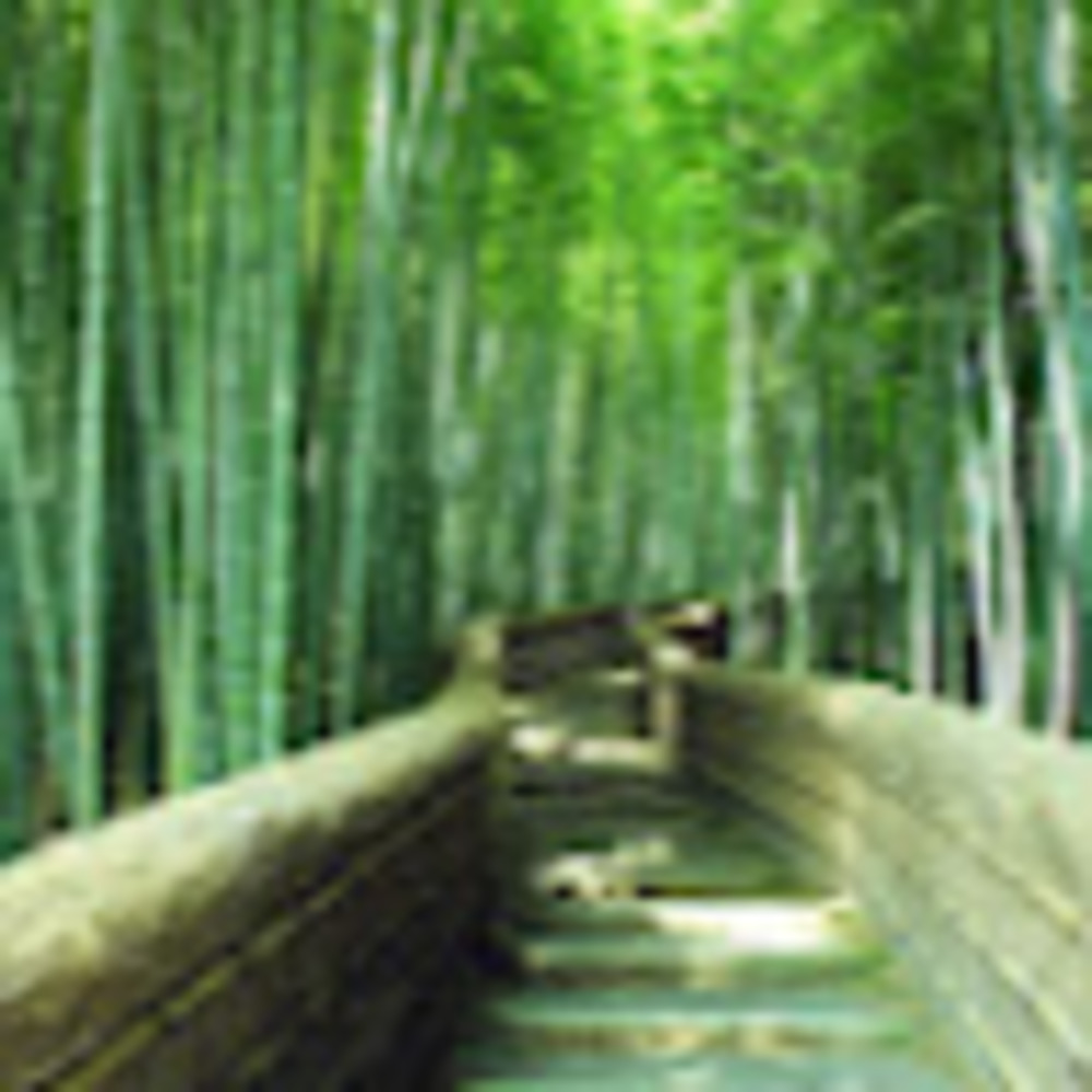 Meet your Posher, Ruth